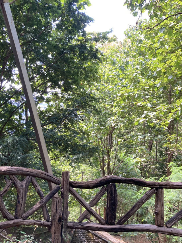 วนอุทยานแก้วโกมล (ถ้ำแก้วโกมล) 