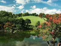 探索大阪萬博記念公園：歷史傳承與自然美景的完美結合🌳🏞️