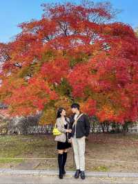 가을여행 단풍데이트는 여기서❤️