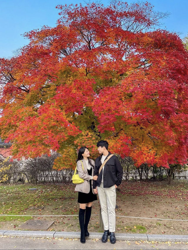 가을여행 단풍데이트는 여기서❤️