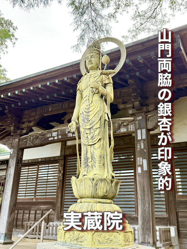 【埼玉県】山門両脇の銀杏が印象的