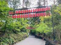 国宝　大崎八幡宮
