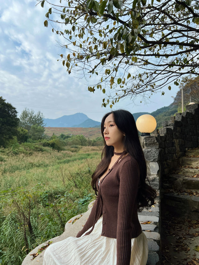 가을무드 제대로 즐기는 담양 당일치기 여행코스 🍂