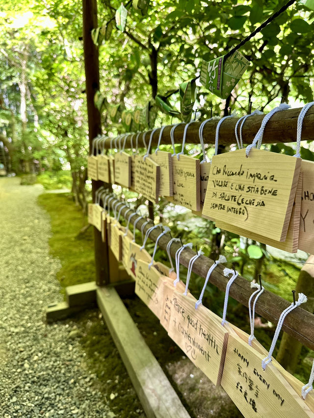 Kyoto’s Hidden Moss Garden Gem 🌿