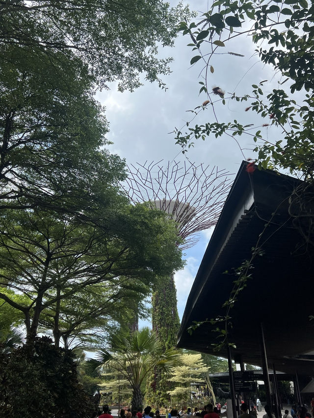 สวนสวยระดับโลกที่ทุกคนต้องมาสักครั้ง! 💯
