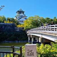 景點推薦：大阪城公園，感受歷史與寧靜的綠意