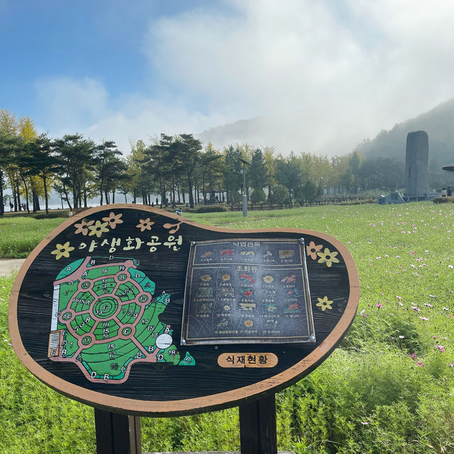 #เที่ยวฤดูใบไม้ร่วง goesan - gan korea