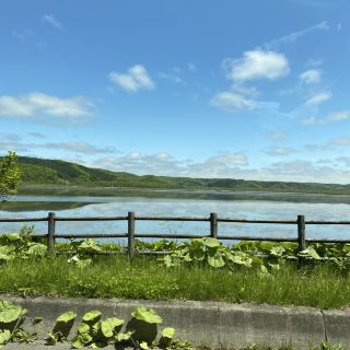 쿠시로 습원은 상상 이상으로 광대합니다. 숲속에서 산책을 하며 리프레시할 수 있었습니다.