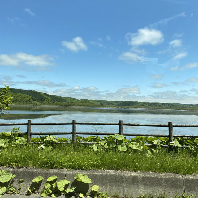 釧路湿原は想像以上に広大。森林浴もできリフレッシュできた