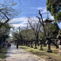 上野公園景點推薦｜東照宮