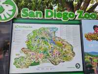 미국 여행 동물을 좋아한다면 San diego zoo❤️