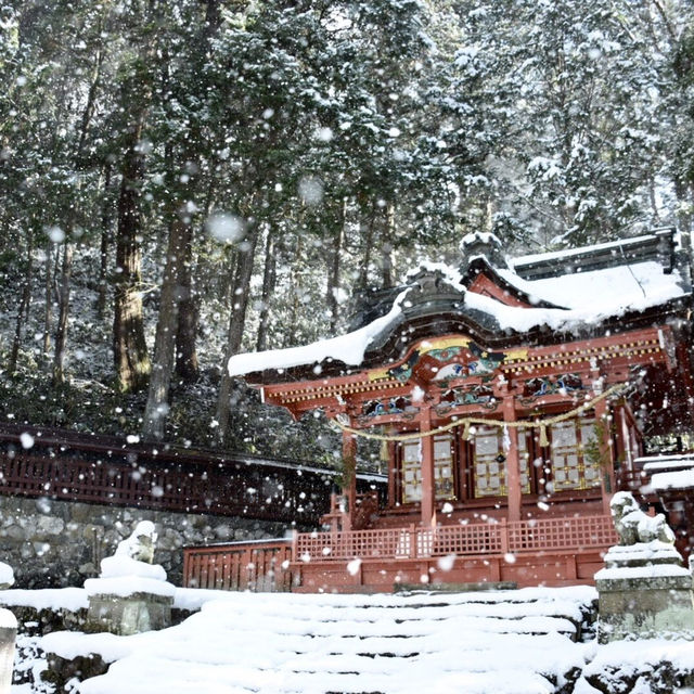 飛驒高山必去景點 - 日枝神社⛩️❄️