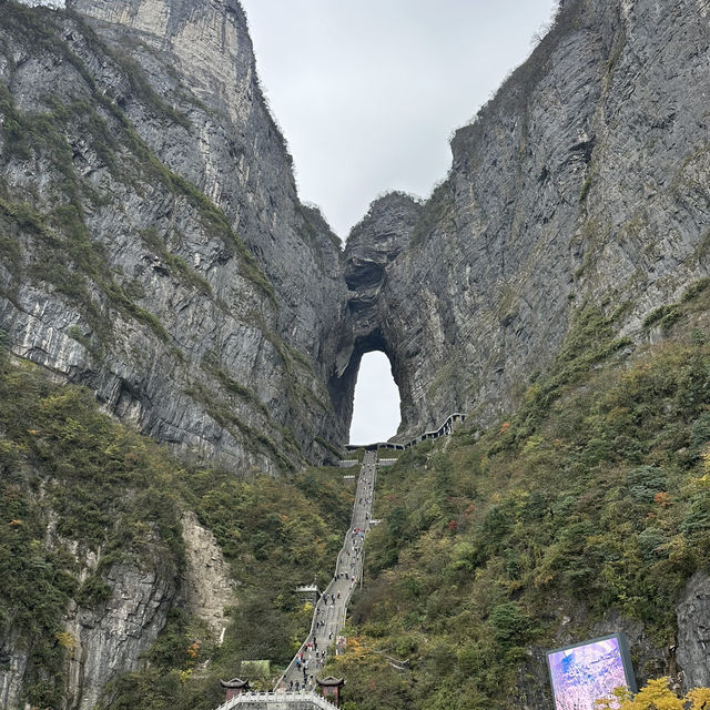 An Unforgettable Adventure: Tianmen Mountain’s 999 Steps and the Glass Walkway 