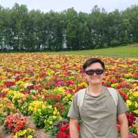 Flowering your summer in Hokkaido with Lavender, Melons