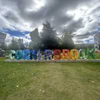 Toronto-Deer Lake|Deer Lake-Toronto(Round-trip)