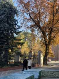 Autumn Serenity: A Stroll Through Poznań's Historic Ostrów Tumski