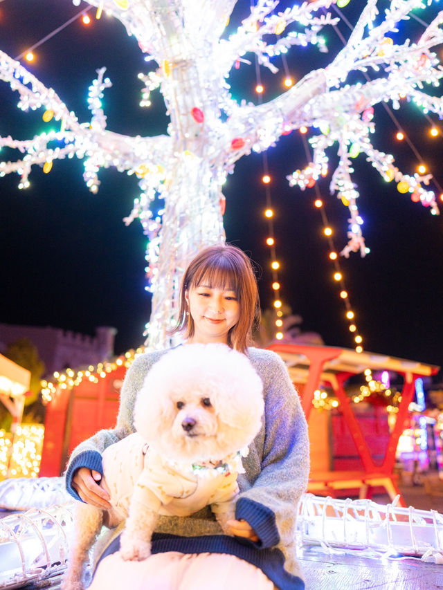 え？ほんと？ペットも連れて行けるイルミネーションが凄すぎた！本物のクリスマスに逢える場所🎅♥️🎄