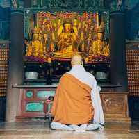 Discovering the Serenity of Beomeosa Temple