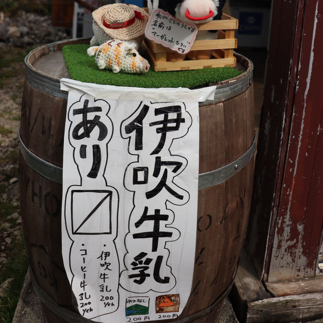 【日本・滋賀🇯🇵】絶景が見れる伊吹山
