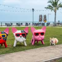 ที่พัก pet friendly ติดหาดหัวหิน