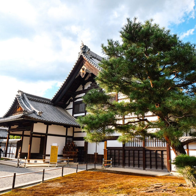 วัดคินคะคุจิ Kinkaku-ji Temple 