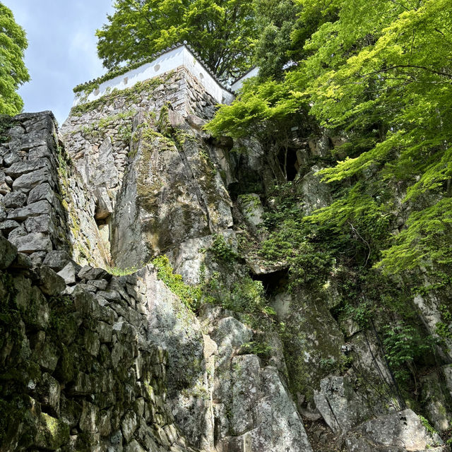 瀨戶內海單車旅行