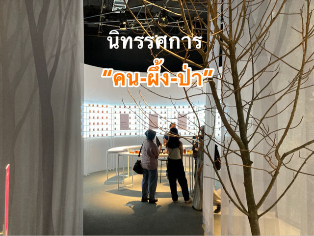 นิทรรศการ “คน-ผึ้ง-ป่า”
