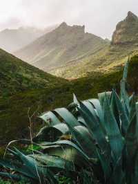 Getting Lost (Happily) in Masca: The Hidden Gem of Tenerife