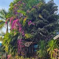 บ้านภูเคียงน้ำรีสอร์ท 