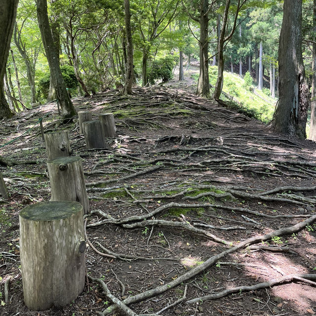 【竜ヶ岳】　鈴鹿セブンマウンテン