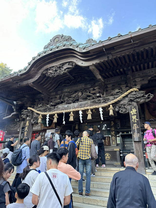 【東京近郊】高美山一日遊🌳玩盡纜車吊車🚡輕鬆登頂