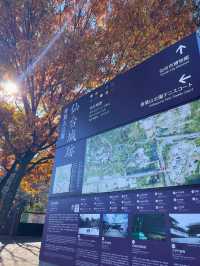 仙台観光の定番！仙台が一望できる仙台城跡🏯