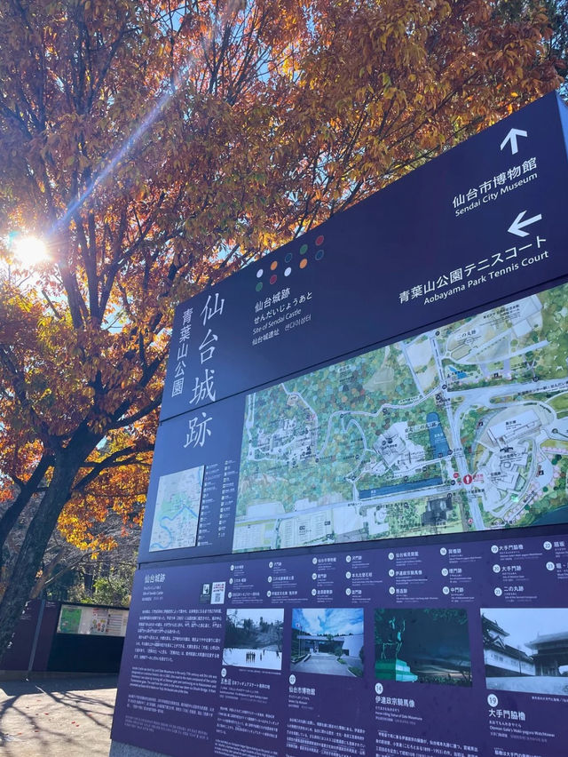 仙台観光の定番！仙台が一望できる仙台城跡🏯
