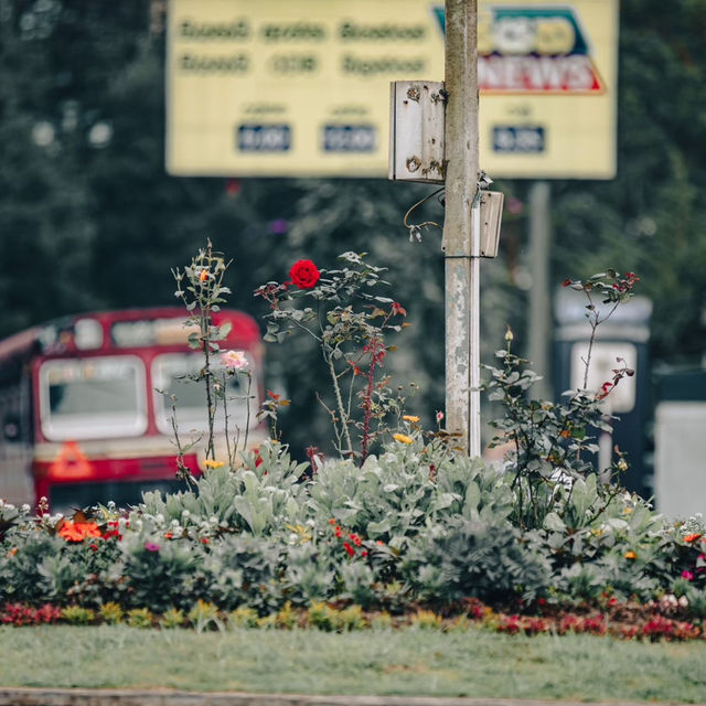 斯里蘭卡🇱🇰Queen’s Hotel：歷史與現代的完美融合