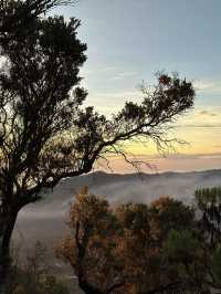 Conquer the Peaks: Outdoor Adventures at Mount Bromo