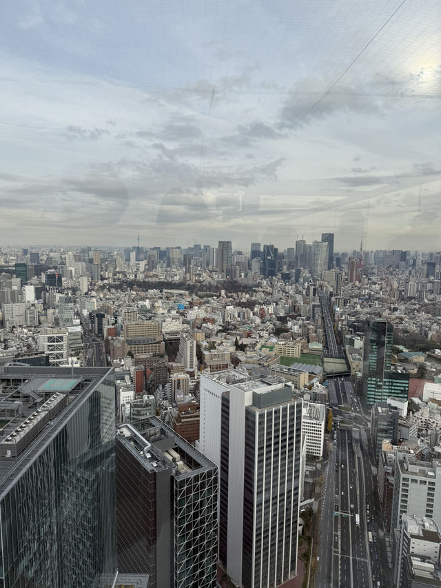 渋谷の高層ビル群を一望できる最高の展望台