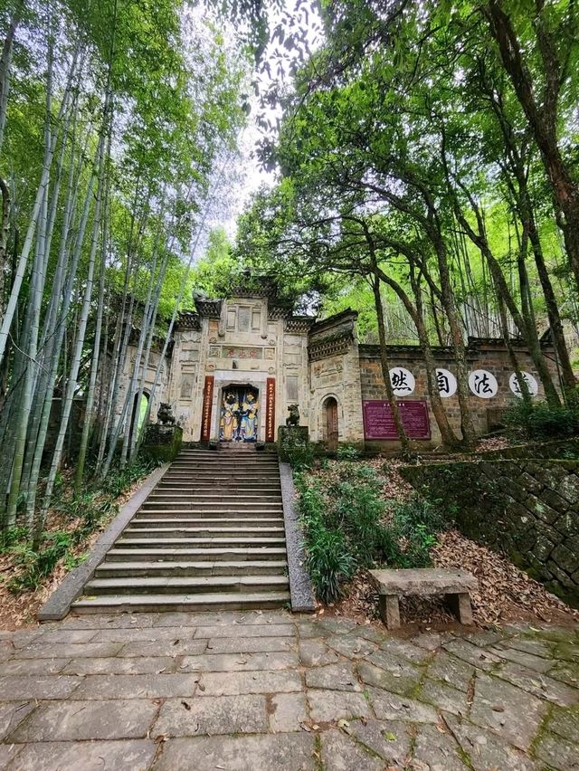茶故鄉地的溫感與美態