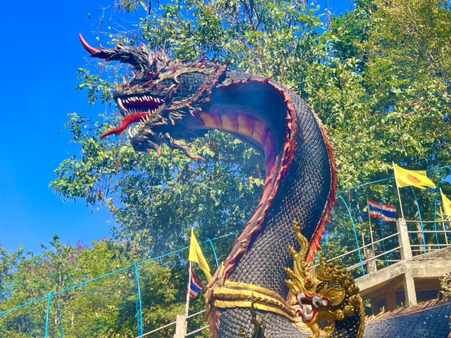 ขอพรพญานาคองค์ดำ แสนสิริจันทรา 