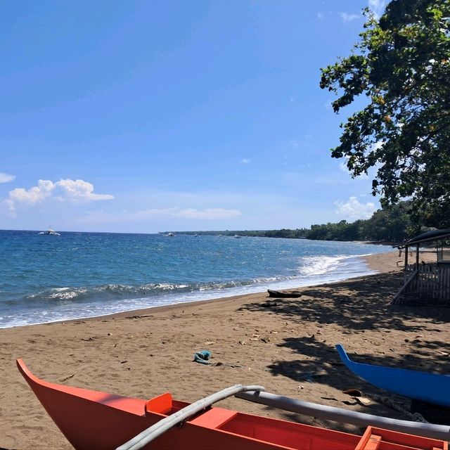 Diving in Dauin...no boat needed??