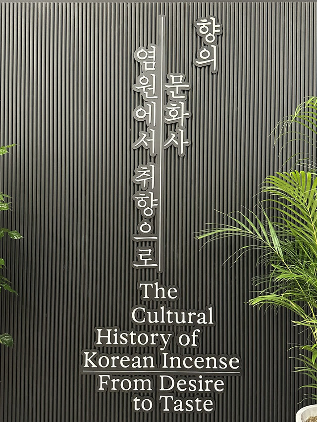 대구의 역사가 궁금하다면, ‘국립대구박물관’으로! ✨