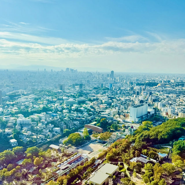 東山天空塔-外觀時尚獨特，飽覽壯觀的名古屋市全景
