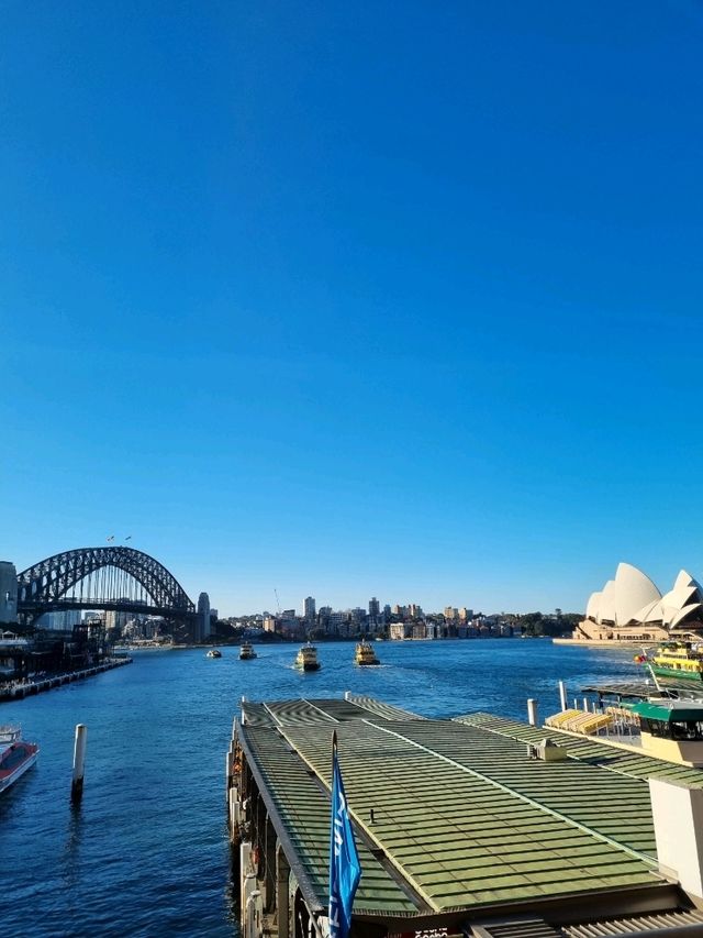 시드니의 풍경을 완벽하게 볼 수 있는 역이 궁금하세요?🇦🇺