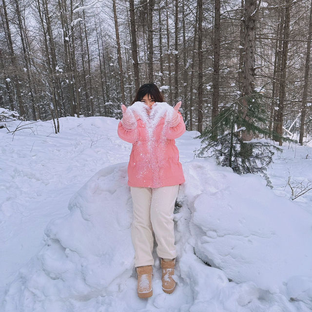 ❤️เที่ยวฮาร์บินเมืองหนาวในฝัน 7 วันแบบไม่เร่งรีบ☃️