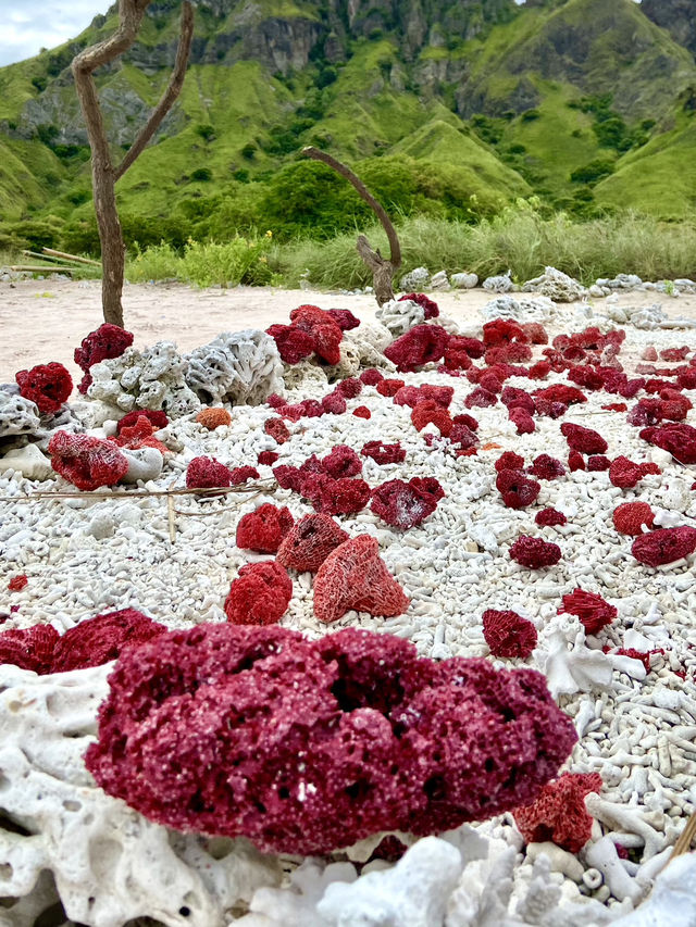Pink Beach: Nature’s Cotton Candy Coastline