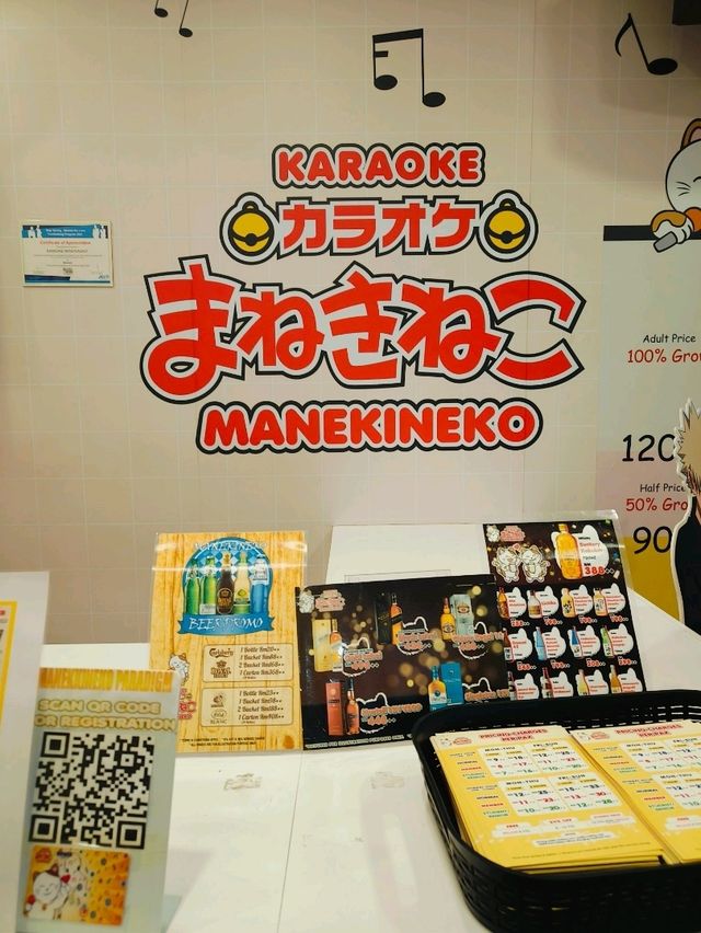 Unforgettable Tunes and Bonding Moments at Karaoke Wonderland