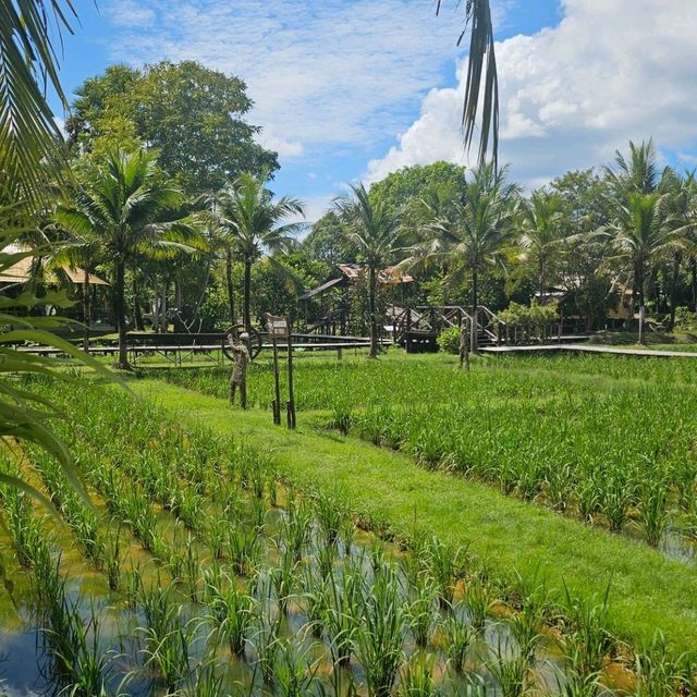ที่เที่ยวภูเก็ต