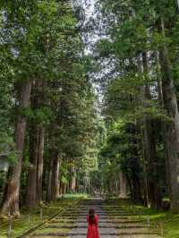 【福井県/勝山市】苔寺と呼ばれ、1300年以上歴史あるテラス