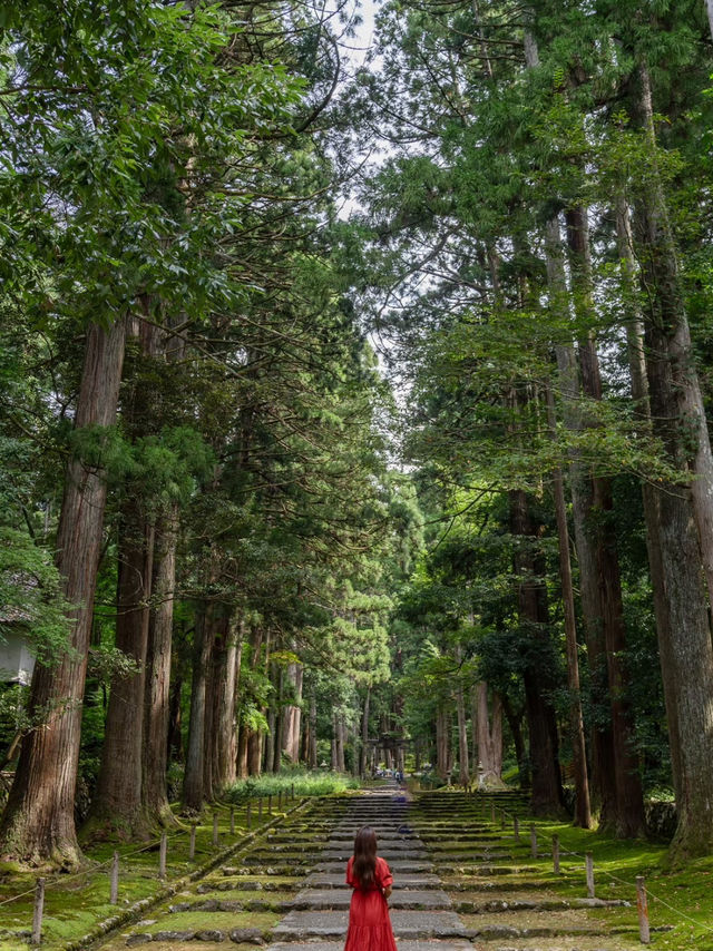 【福井県/勝山市】苔寺と呼ばれ、1300年以上歴史あるテラス