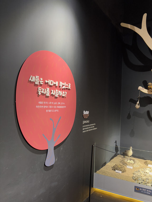 무료체험이 가능한 인천 자원 박물관😇