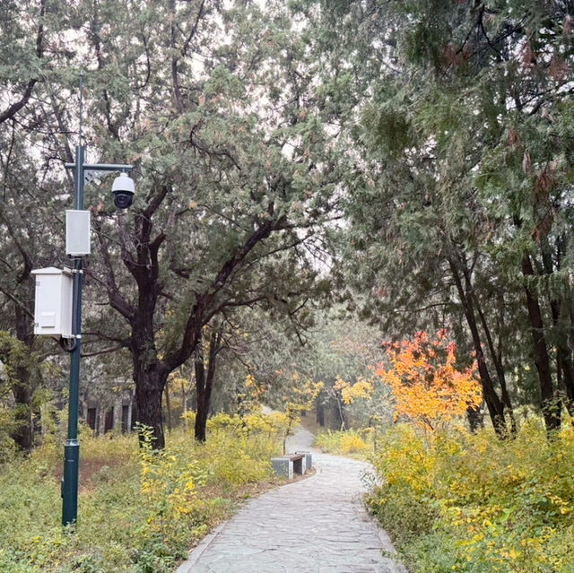 秋日的香山：风景如画，红叶如诗